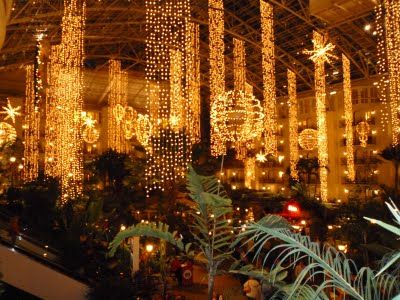 Christmas lights at Gaylord Opryland Hotel, Nashville, Tennessee Opryland Hotel Christmas, Opryland Hotel Nashville, Music Row Nashville, Nashville Attractions, Christmas Lights Inside, Hotel Christmas, Opryland Hotel, Mai Thai, Cheap Vacation