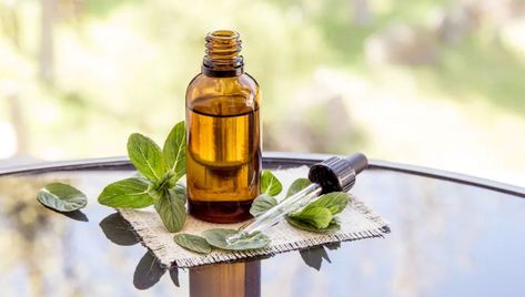 Diy Hair Growth Serum Recipe, Benefits Of Peppermint Oil, Peppermint Oil For Mice, Benefits Of Peppermint, How To Deter Mice, Hair Growth Serum Diy, Rats And Mice, Rodent Repellent, Mice Repellent