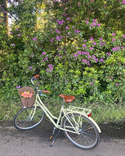 bike, bike aesthetic, aesthetic, summer, summer aesthetic, spring, spring aesthetic, cycling, cycling aesthetic, pretty bike Aesthetic Cycling, Cycle Aesthetic, Cycling Aesthetic, Spring Bicycle, Biking Aesthetic, Bicycle Aesthetic, Aesthetic Bike, Spring Baking, Bike Aesthetic