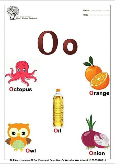 Short O Sound Worksheets, Letter O Flashcards, Oo Sounds Worksheet, Oo Sound Words With Pictures, Short O Sound, Oo Sound, Preschool Alphabet Book, Kids Learning Alphabet, Reading Response Worksheets