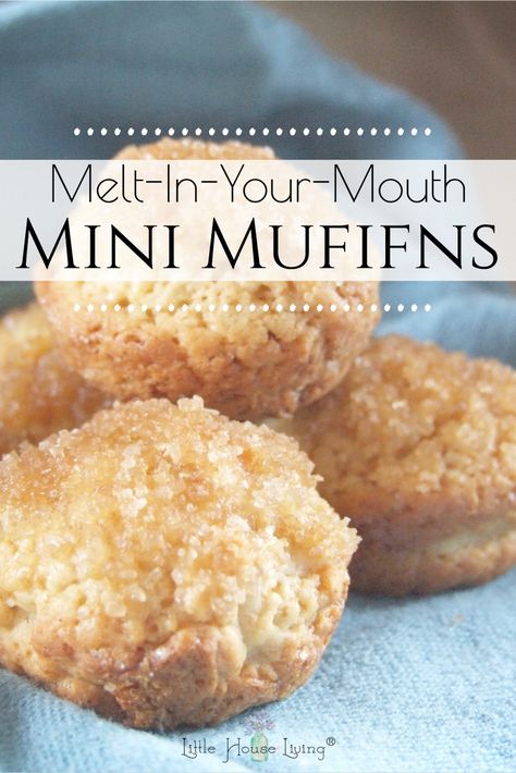 Looking for a simple little muffin recipe that is great for a quick breakfast or to pack along with a lunch? These Melt in Your Mouth Mini Muffins are fun and easy to make! Cupcake Pan Recipes, Mini Breakfast Muffins, Cupcake Maker Recipes, Mini Muffin Tin Recipes, Mini Muffin Recipe, Mini Breakfast, Cupcake Maker, Muffin Tin Recipes, Homemade Muffins