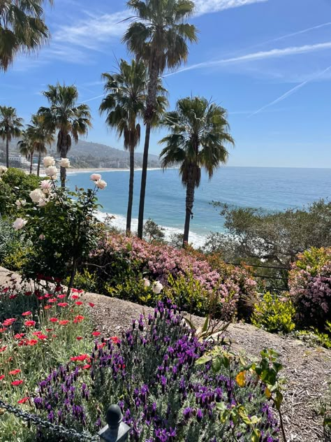 #beach #california #flowers #summer #spring #springbreak #laguna Orange County California Aesthetic, Reseda California, Spring In California, Spring California, Laguna Beach House, California Flowers, California Beach House, California Life, California Beaches