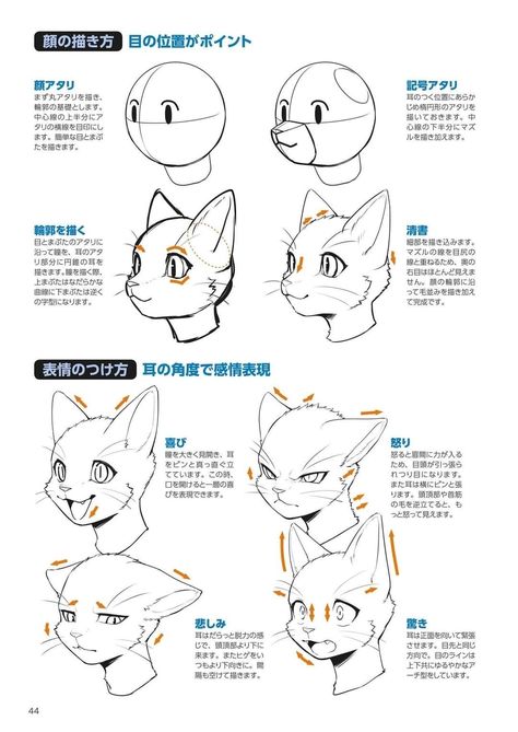 Anthro Cat, Draw Cat, Draw A Cat, Cat Drawing Tutorial, Cats Art Drawing, Cat Anatomy, Warrior Cats Art, Cat Character, Concept Art Drawing