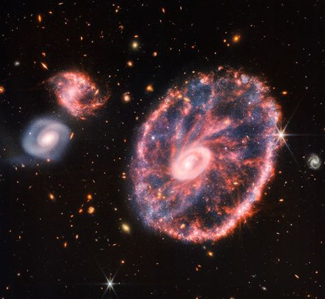 James Webb Space Telescope Zooms in on the Cartwheel Galaxy Telescope Images, Nasa Poster, Other Galaxies, Star Formation, James Webb, James Webb Space Telescope, Spiral Galaxy, Hubble Space, Hubble Space Telescope