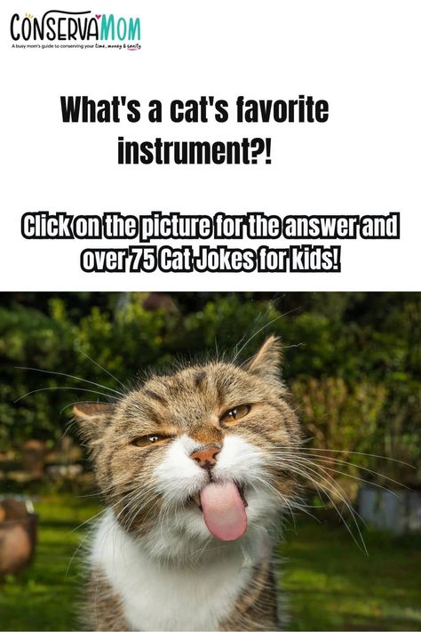 Meow-tastic Fun: Cat Jokes for Kids to Keep the Laughter Purr-ing! - ConservaMom Funny Cat Jokes, Group Of Cats, Hissy Fit, Funny Riddles, Cat Jokes, Dumpster Diving, Alley Cat, Jokes For Kids, Cat Sitting