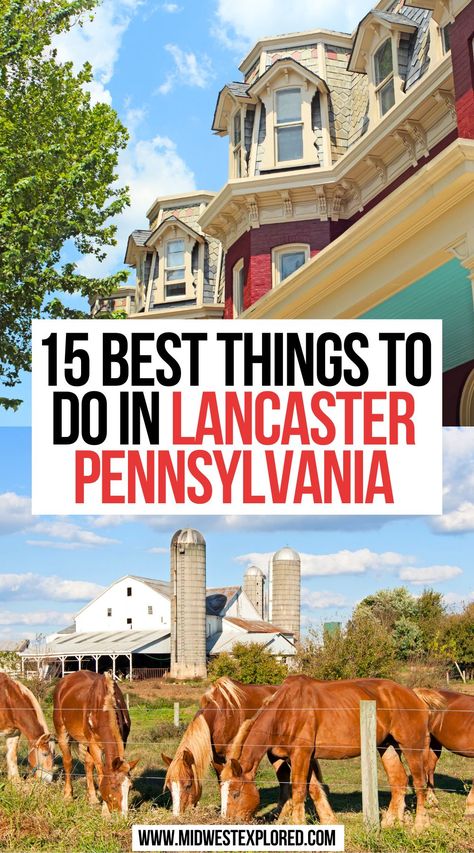 15 Best Things To Do In Lancaster, Pennsylvania Lancaster City Pennsylvania, What To Do In Lancaster Pa, What To Do In Pennsylvania, Pa Day Trips, Dutch Wonderland Lancaster Pa, Lancaster Pennsylvania Things To Do In, Places To Visit In Pennsylvania, Lancaster Pa Things To Do In, Things To Do In Lancaster Pa