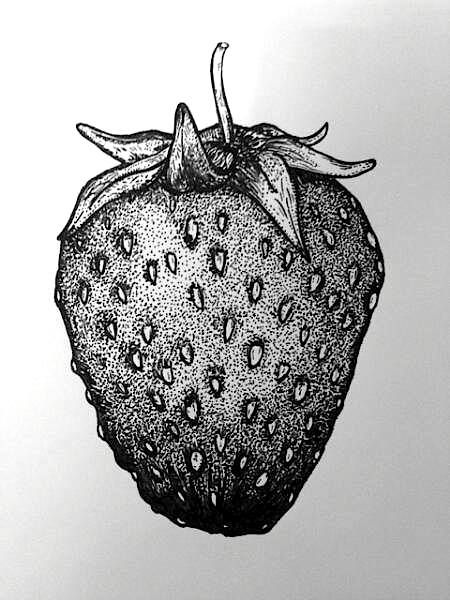 this is something i drew with my kaweco sport EF fountain pen. actually, it is a strawberry. i like pointillism because my mistakes are less obvious this way. Stippling Drawing, Dotted Drawings, Sports Drawings, Stippling Art, Fruits Drawing, Scale Drawing, Pen Art Drawings, Soyut Sanat Tabloları, Fruit Art