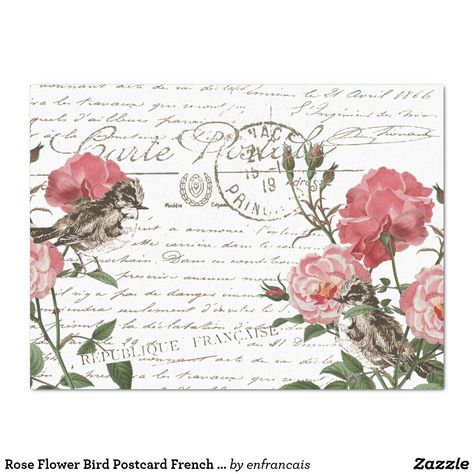 Floral Postcard, Custom Tissue Paper, White Rose Flower, Fragrant Roses, Decoupage Tissue Paper, French Script, Rose Illustration, French Rose, Pink Tea