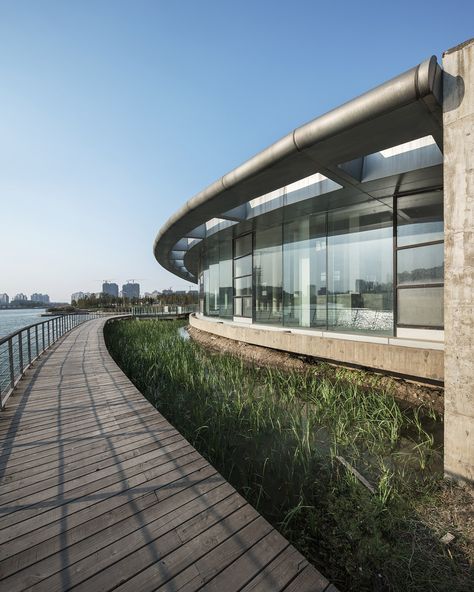 Gallery of Waterfront Restaurant / Pro-Form Architects - 5 Waterfront Architecture, Sunken Patio, Coastal Architecture, Architecture Board, Restaurant Architecture, Waterfront Restaurant, Entertainment Design, Patio Plants, Rooftop Garden