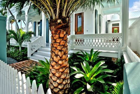 great porch Sylvester Palm, Key West Porch, Tropical Porch, West Indies Architecture, Key West Style, Exterior Color Palette, Porch Design Ideas, Storage Inspiration, British Colonial Style