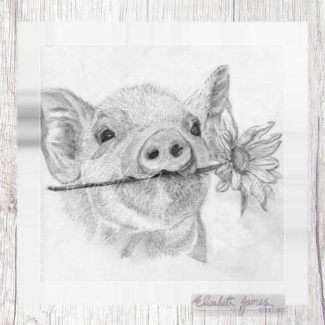 Pig Sketch, Daisy Farm, Pig Drawing, Pencil Drawing Tutorials, Pencil Sketch Drawing, Animal Drawings Sketches, Calorie Meals, Elizabeth James, Pig Art