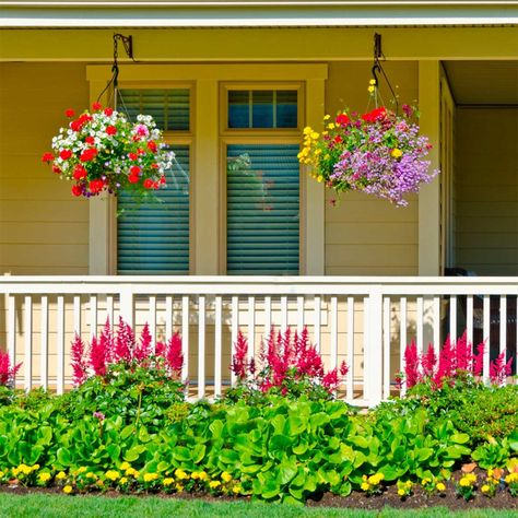 Front Porch Landscaping Ideas, Front Porch Landscape, Front Porch Garden, Front Porch Flowers, Summer Planter, Porch Landscaping, Porch Flowers, Flower Bed Designs, Flower Baskets