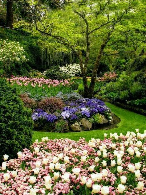 Beautiful garden English Garden Design, Butchart Gardens, Sunken Garden, Desain Lanskap, Modern Backyard, Have Inspiration, The Secret Garden, Gorgeous Gardens, English Garden