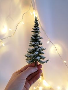 Winter Miniature, Mini Christmas Tree Diy, Homemade Christmas Tree, Tiny Christmas Trees, Miniature Christmas Tree, Christmas Diorama, Christmas Tree Lots, Christmas Village Display, Winter Tree