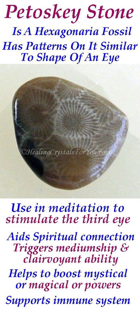 Petoskey Stone Meaning, Cleaning Energy, Six Sided Shape, Crystal Knowledge, Brown Crystals, Third Eye Chakra Stones, Healing Crystals For You, Crystal Work, Psychic Gifts