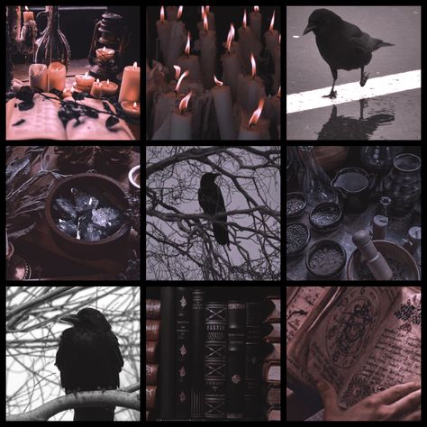 Crow Color Palette, Mood Boards Aesthetic Dark, Crow Moodboard, Bird Mood Board, Dark Moodboard Aesthetic, Goth Moodboard, Paranormal Aesthetic, Adopt Idea, Picture Boards