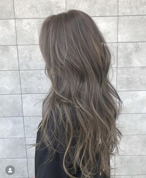 Ashy Brown Grey Hair, Purple Hair With Grey Highlights, Ash Gray Asian Hair, Ash Brown Light Hair, Ash Brown Hair With Dark Roots, Light Brown Silver Hair, Milk Tea Grey Brown Hair, Ash Mushroom Hair, Ashy Brown Hair Curly