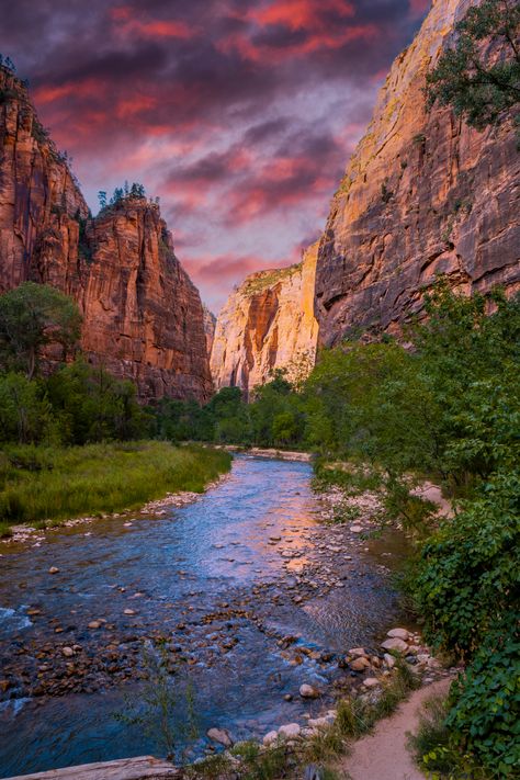 15 Best Things To Do in Zion National Park - The Wandering Queen Joyce Aesthetic, Riverside Walk, National Parks Photography, National Park Photos, Cedar City, National Park Road Trip, Sequoia National Park, Utah National Parks, Olympic National Park