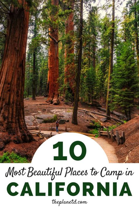 2028 Olympics, Campground Ideas, Beautiful Camping, Redwood National And State Parks, California Road Trip Itinerary, Rv Trips, Vacation 2024, California Road Trip, Herb Shop