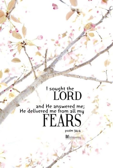 Psalm 34 4, Seek The Lord, Psalm 34, Favorite Bible Verses, Faith Inspiration, Jesus Is Lord, Spiritual Inspiration, Scripture Verses, Bible Verses Quotes