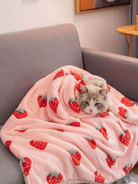 Dog Sofa Cover, Pink Throw Blanket, Cute Bedding, Cute Blankets, Cat Blanket, Warm Bed, Dog Cushions, Cat Bed Furniture, Dog Sofa