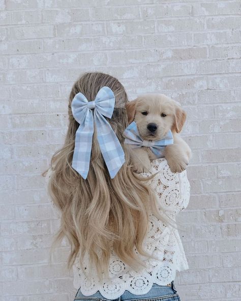 Pale Blue 1" gingham dog bow and matching human hair bow! Normal bow is approx 14cm x 10 cm, attached to dog collar with 12mm elastic Sailor Bow is 13 x 14 cm - Please let me know if you would like a smaller size! Attaches to collar with 18mm Elastic. Hair Sailor Bow is approx 12x8 cm with 7/8inch ties!attached to hair with 45mm alligator clips Hair Of The Dog, Preppy Dog, Dog Match, Cute Dog Clothes, Dog Suit, Dog Business, Puppy Accessories, Cute Dog Collars, Sailor Bow