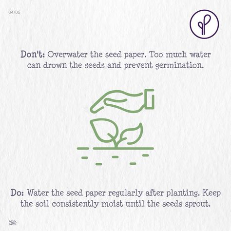 Seed paper, also known as plantable paper, is a biodegradable paper embedded with seeds that can be planted to grow into flowers, herbs, or vegetables. 🌱📜 By following these dos and don’ts, you can successfully plant and grow beautiful flowers or nutritious vegetables from your seed paper. 🌼🌿 #seedpaper #plantablepaper #gardeningtips #sustainability #greenliving Nutritious Vegetables, Plantable Paper, Plantable Seed Paper, Garden Idea, Seed Paper, Green Living, Gardening Tips, To Grow, Biodegradable Products