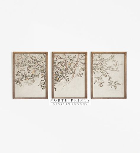 Apple Tree Sketch, French Art Prints, Vintage Gallery Wall, Tree Sketch, Wal Art, Vintage Gallery, Tree Sketches, Triptych Wall Art, Gallery Wall Art Set