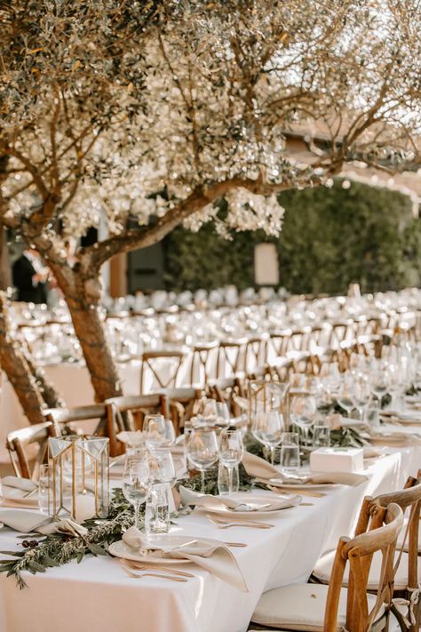 Viansa Sonoma | Magical and Rustic Fairytale Wedding at Viansa Sonoma in Sonoma, CA | PartySlate Rustic Fairytale Wedding, Winter Wedding Nails, Rustic Ceremony, California Winery Wedding, Winery Wedding Venues, Winter Wedding Destinations, Berries And Cream, Reception Layout, California Winery