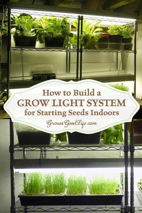 You can assemble your own inexpensive grow light system that will serve well for starting seeds indoors or growing an indoor garden. Compost Garden, Kebun Herbal, Growing Food Indoors, Taman Diy, Cold Frames, Indoor Vegetables, Indoor Grow, Starting Seeds, Starting Seeds Indoors