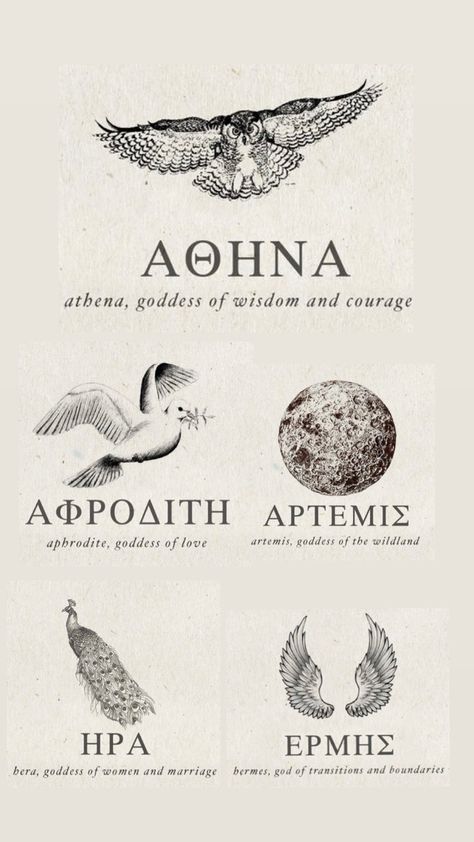 Greek Tattoos Athena, Athena And Aphrodite Tattoo, Aphrodite Tattoo Meaning, Greek Goddess Tattoo Athena Symbols, Ancient Greek Art Tattoo, Artimus Tattoo, Greek Love Tattoo, Feminine Greek Mythology Tattoos, Aphrodite Tattoo Design Greek Mythology