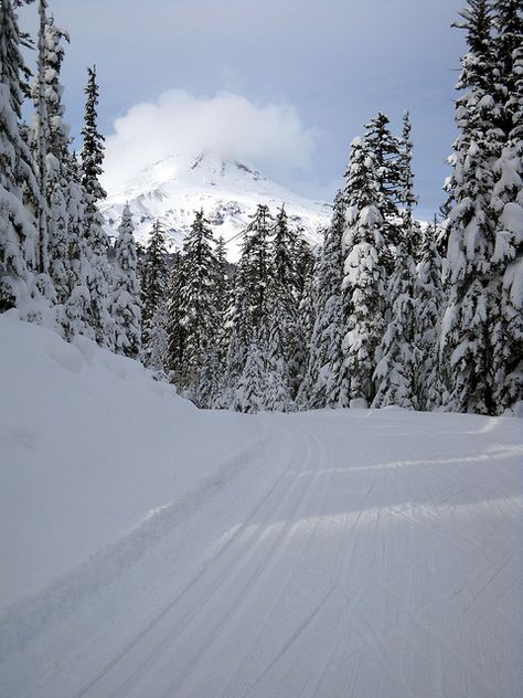 Joseph Oregon, Nordic Skiing, Ski Trails, Mt Hood, Adventure Sports, Winter Magic, Cross Country Skiing, Snow Skiing, Camping World