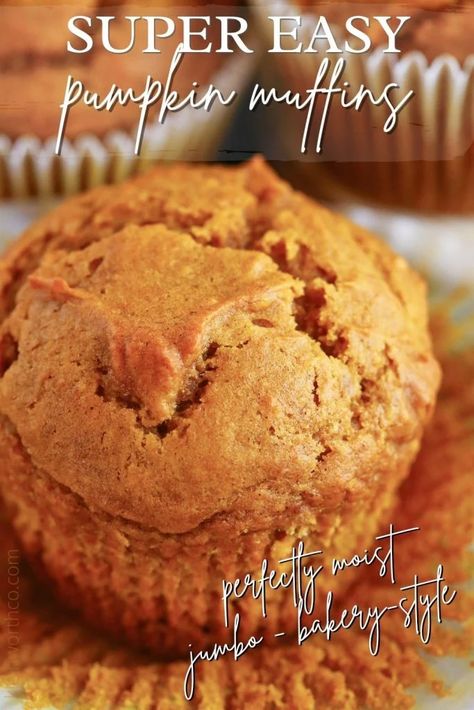 Pumpkin Muffins With Oil, Pumpkin Muffin Recipes Healthy, Super Moist Pumpkin Muffins, Pumpkin Mini Muffins Easy, Punkin Muffins Recipe Easy, Jumbo Pumpkin Muffin Recipes, Pumpkin Nut Muffins, Easy Pumpkin Muffin Recipes, Jumbo Pumpkin Muffins