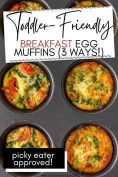 Veggie Egg Muffins Breakfast, Veggies Made Great Muffins, Egg And Veggie Muffins, Protein Snack Ideas For Kids, Easy Blw Lunch, Kids Egg Breakfast Ideas, Veggie Breakfast Muffins, Vegetarian Breakfast Muffins, Healthy Toddler Muffins Hidden Veggies