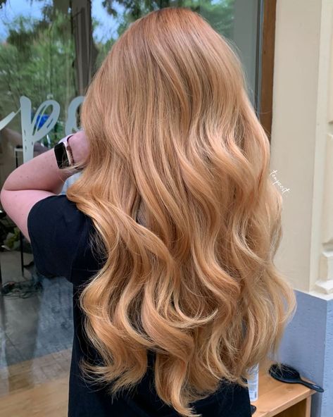 #BlondeHairGoals #BlondeTransformation #HairMakeover #BlondeBeauty #BlondeAmbition #HairInspo #BlondeBombshell #BlondeJourney #NewHairWhoDis #BlondeVibes #HairTransformation #BlondeLife #BlondeHighlights #BlondeObsessed #BlondeMagic Fun Things To Do With Blonde Hair, Golden Blonde Red Hair, Ginger Blonde Hair Balayage, Natural Blonde To Red Hair, Strawberry Blonde Light Hair, Very Light Ginger Hair, Strawberry Blonde Gloss Hair, Nicole Kidman Strawberry Blonde, Rose Gold Strawberry Blonde Hair