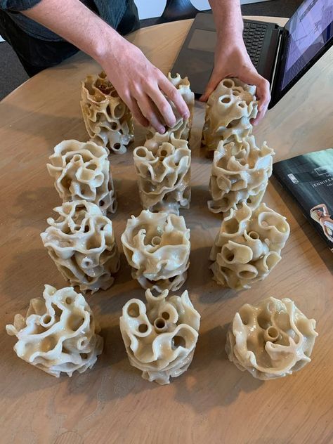 Coral reef skeletons crafted from 3D-printed calcium carbonate Coral Skeleton, Coral Polyps, Skeleton Craft, Artificial Reef, Underwater House, Carbon Sequestration, Eco Architecture, Marine Ecosystem, 3d Printed Objects