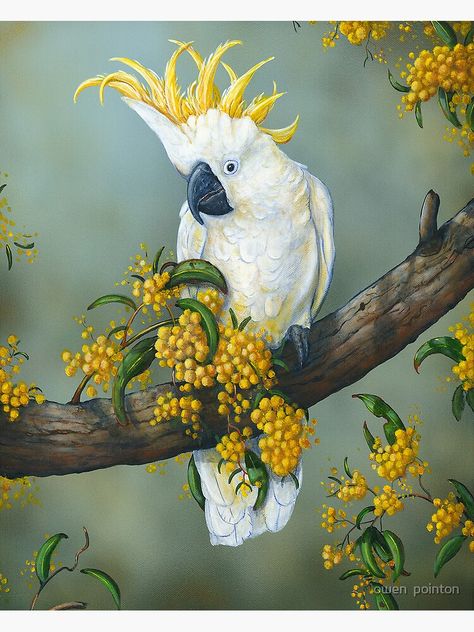 White Cockatoo, Australian Painting, Parrots Art, Australian Wildlife, Study Help, Australian Birds, Wildlife Artists, Bird Artwork, Australian Animals