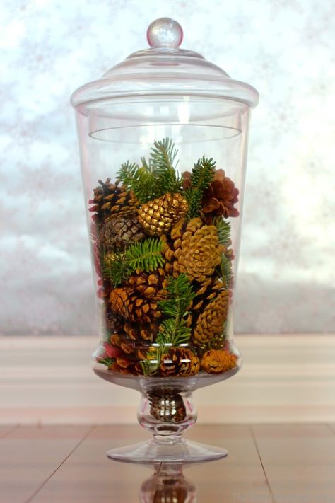 pinecone vase filler More Winter Vase Filler Ideas, Clear Vase Filler Ideas, Pinecone Vase, Jar Filler Ideas, Winter Vase, Fillable Lamp, Vase Filler Ideas, Tree Fillers, Filler Ideas