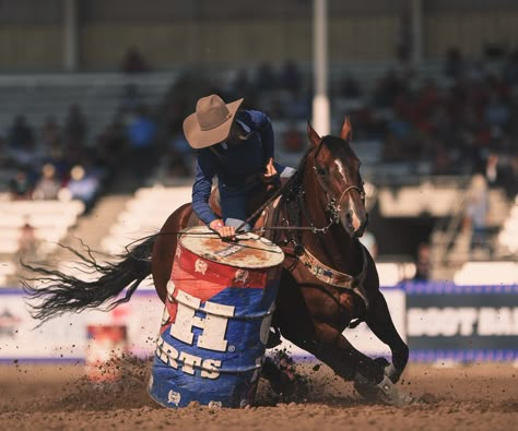 Horse Rodeo, Horse Barrel Racing, Rodeo Life Aesthetic, Barrel Racer Aesthetic, Barrel Race, Barrel Racing Aesthetic, Barrel Racing Photos, Barrel Racing Outfits, Barrel Racing Photography