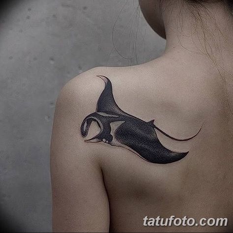 Stingray Tattoos, Manta Ray Tattoo, Stingray Tattoo, Ray Tattoo, Dove Tattoos, Petit Tattoo, Octopus Tattoos, Whale Tattoos, With Tattoo