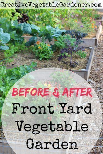 Front Yard Vegetable Garden, Yard Vegetable Garden, Vegetable Garden Planner, Vegetable Garden Planning, Starting A Vegetable Garden, Front Yard Garden Design, Backyard Vegetable Gardens, Organic Vegetable Garden, Garden Planner