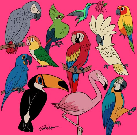 Animal Doodles, Animated Animals, Bird Drawings, Sketchbook Art Inspiration, Creature Art, Animal Illustration, Bird Art, Pretty Art, Animal Drawings