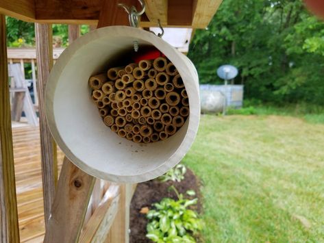 Bee boxes, often called bee “houses” or “hotels,” offer an opportunity to learn about Virginia’s solitary bees while helping pollinators. However, if constructed improperly or neglected after installation, these habitats can actually be harmful to solitary bees. Mason Bee House Diy, Bee Skep House, Solitary Bee House, Different Types Of Bees, Mason Bee House, Master Gardener Program, Cardboard Fireplace, Toilet Paper Art, Bee Hive Plans