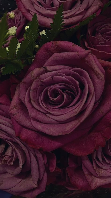 Mauve Asthetic Photos, Midnight Plum Aesthetic, Mauve Asethic, Pink Mauve Aesthetic, Dark Mauve Flowers, Mauve Mood Board, Midnight Plum Color, Dark Mauve Aesthetic, Plum Aesthetic Color