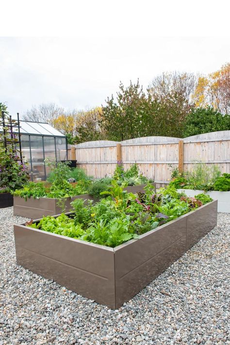 Sleek and sturdy steel raised garden beds that require little maintenance and allow earlier spring planting since the soil heats up faster than in wooden beds. Copper Vegie Beds, Should Cardboard Be Beneath A Raised Garden Bed, Best Untreated Wood For A Raised Bed, Modern Gardening, Home Garden Ideas, Metal Raised Garden Beds, Spring Sunshine, Garden Arches, Raised Planter