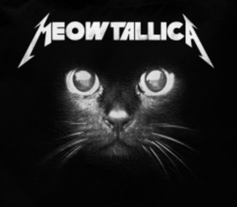 Let's Rock! 🐱😅😆 #LetsMeow #Meowtallica #Meow #BlackCat #Metallica Cat Rock, Cat Band, Rock Cat, Metallica Ipad Wallpaper, Metal Cat, Metallica Wallpapers Laptop, Cat Album Covers, Metal Cats, Metallica Metal Up Your