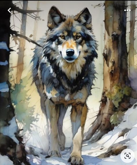 Wolves Painting Acrylic, Wolf Watercolor, Loose Watercolor Paintings, Watercolor Wolf, Wolf Artwork, Wolf Painting, Nature Art Drawings, Wildlife Artwork, Wolf Pictures