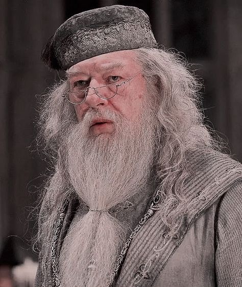 Madeye Moody, Professor Dumbledore, Harry Potter Dumbledore, Harry Potter Merch, Harry Potter Harry, Images Harry Potter, Harry Potter Pictures, Harry Potter Facts, Harry Potter Theme