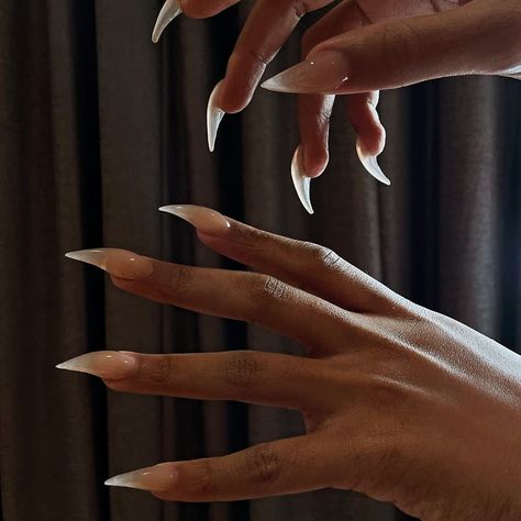 Halloween Claw Nails, Eagle Claw Nails, Claw Nails Aesthetic, Clawed Hands Aesthetic, Sharp Nails Aesthetic, Claw Acrylic Nails, Vampire Nails Designs, Claws Aesthetic, Short Claw Nails