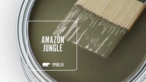 AMAZON JUNGLE PPU9-24 | Behr Paint Colours Behr Olive Green, Behr Equilibrium, Behr Olive Green Paint Colors, Olive Green Paint Colors, Olive Green Paint, Olive Green Paints, Concrete Dye, Concrete Garage, Garage Floor Paint